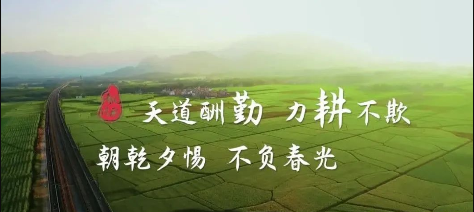 【清風(fēng)傳承】立春：天道酬勤 不負(fù)春光