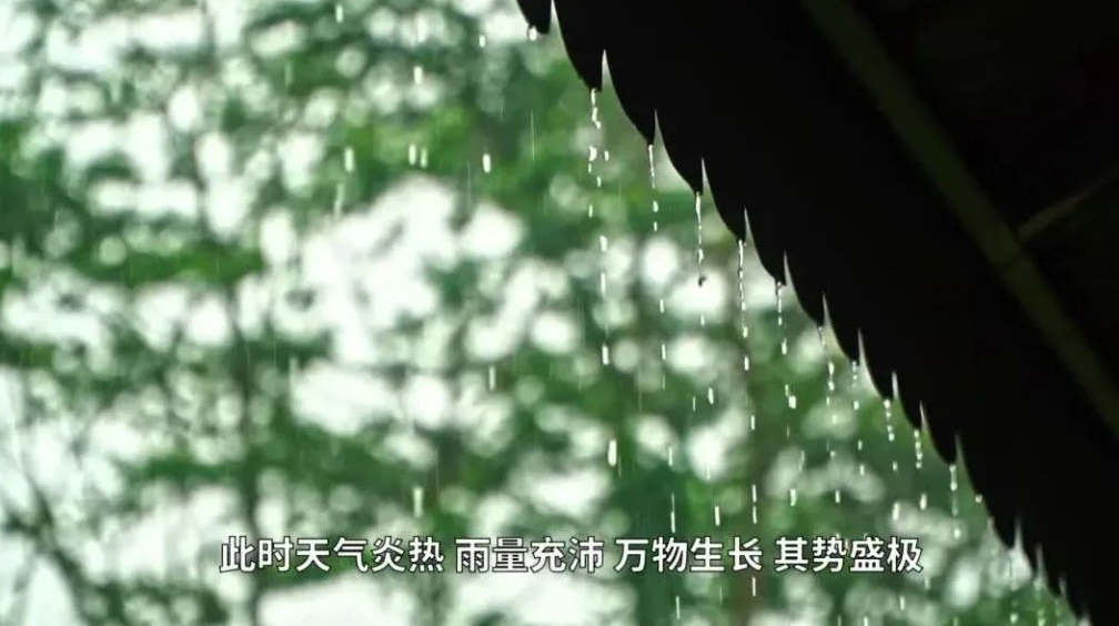 芒種：忙有所獲 種有所得